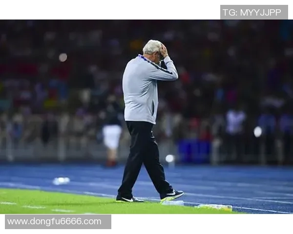 足球明星费南尼的辉煌历程与场上风采揭秘